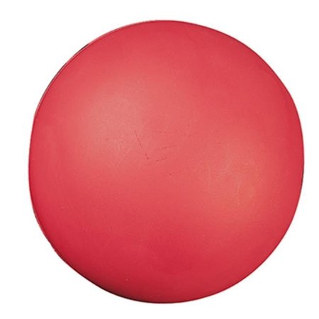 CHAMPION SPORTS Champion Sports CHSHD85 High Density Coated Foam Ball 8In CHSHD85